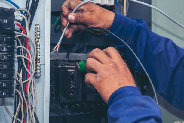 Best Electric Panel Repair  in Medpolis, IA